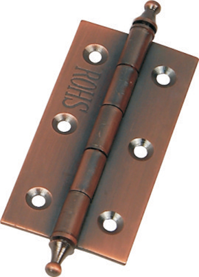F10 Hinge