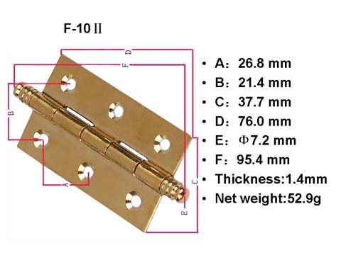 F10b Hinge