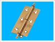 F06 Hinge