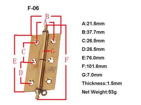 F06 Hinge